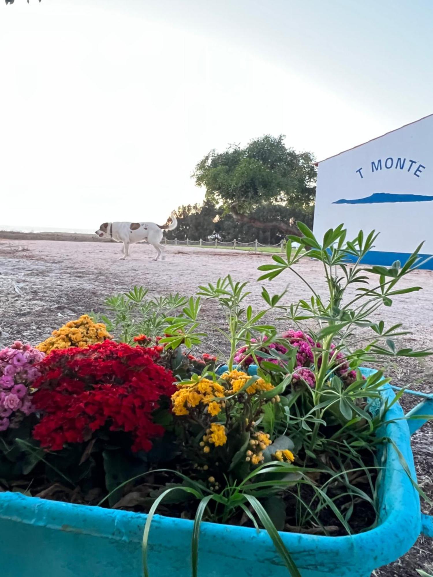 T Monte Villa Porto Covo Buitenkant foto